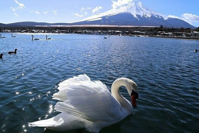 Tokyo Mt. Fuji Hakone Shrine, Owakudani, Lake Yamanakai Day Tour - Ropeway over Hakone’s crater country: when views are best