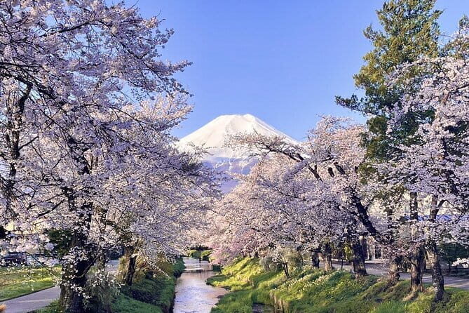 Tokyo Mt. Fuji Hakone Shrine, Owakudani, Lake Yamanakai Day Tour - Owakudani Valley: the volcano you can smell, plus black egg fun