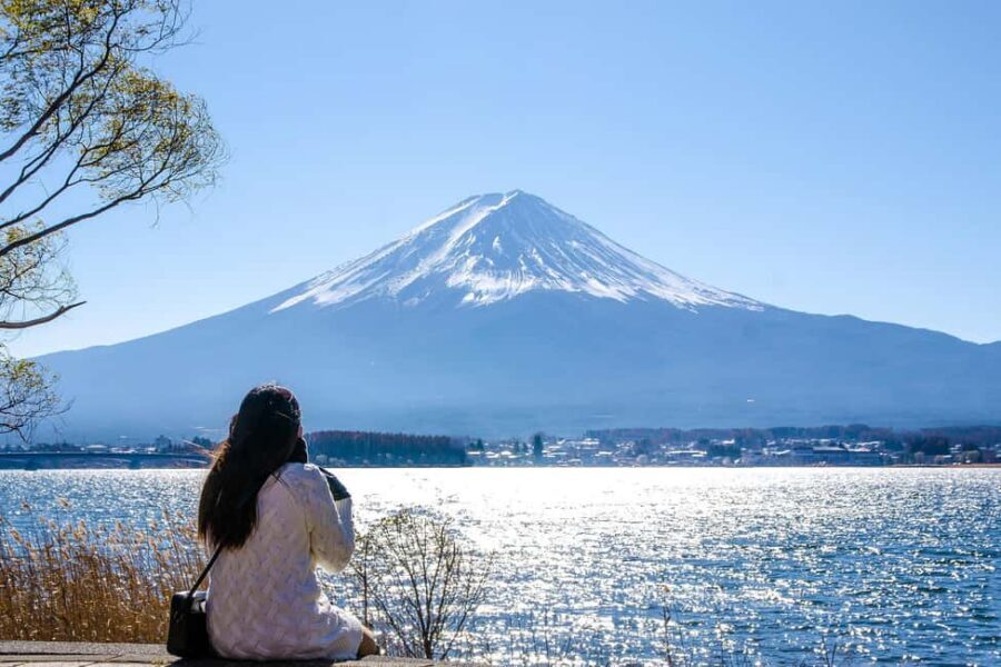 Tokyo: Mt. Fuji, Kamakura, Big Buddha, & Lake Ashi Day Trip - Price and logistics: is $49 worth it