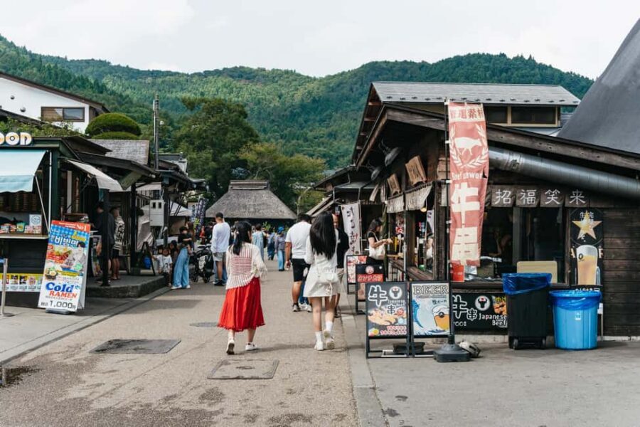Tokyo: Mt. Fuji, Kamakura, Big Buddha, & Lake Ashi Day Trip - Lake Ashi and the Hakone Pirate Ship style cruise option