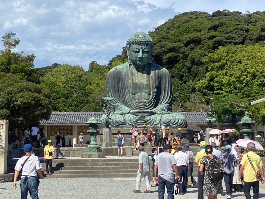 Tokyo: Mt. Fuji, Kamakura, Big Buddha, & Lake Ashi Day Trip - Oishi Park and Lake Kawaguchi: your Fuji photo strategy in two acts