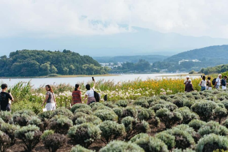 Tokyo: Mt. Fuji, Kamakura, Big Buddha, & Lake Ashi Day Trip - Lunch, food breaks, and what to budget for