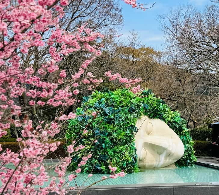 Tokyo: Mt. Fuji, Owakudani, Hakone Shrine, & Open-Air Museum - Key things to notice before you go