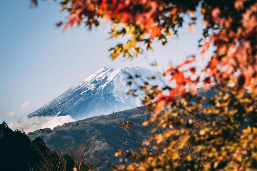 Tokyo: Private Day Trip to Mount Fuji and Hakone - Key highlights worth your attention