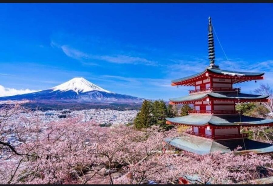 Tokyo: Private Day Trip to Mount Fuji and Hakone - Owakudani Valley and the Gotemba stretch