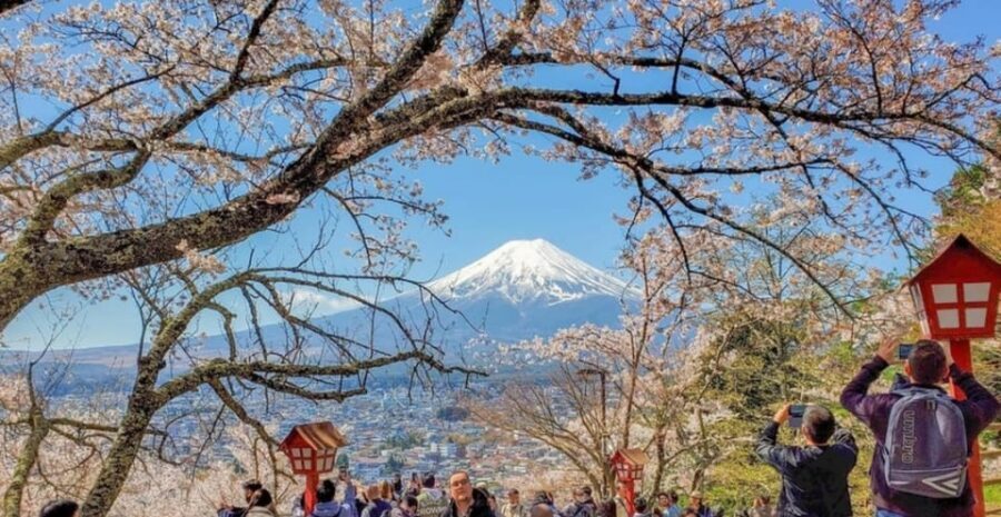 Tokyo: Private Day Trip to Mount Fuji and Hakone - Private car makes Fuji and Hakone feel doable
