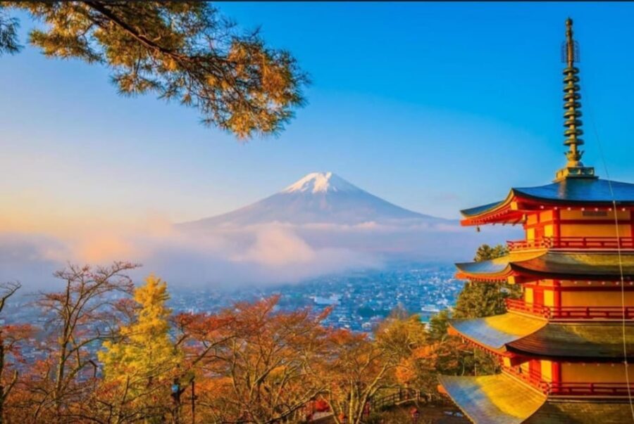 Tokyo: Private Day Trip to Mount Fuji and Hakone - Lake Kawaguchi and Oishi Park for Fuji-and-nature photos