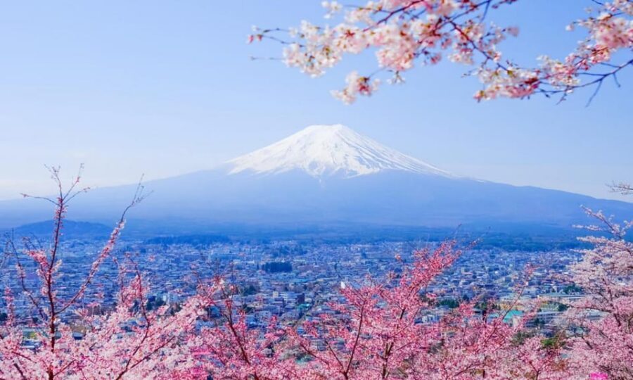 Tokyo: Private Day Trip to Mount Fuji and Hakone - Saiko Iyashi no Sato Nenba: a living-atmosphere break