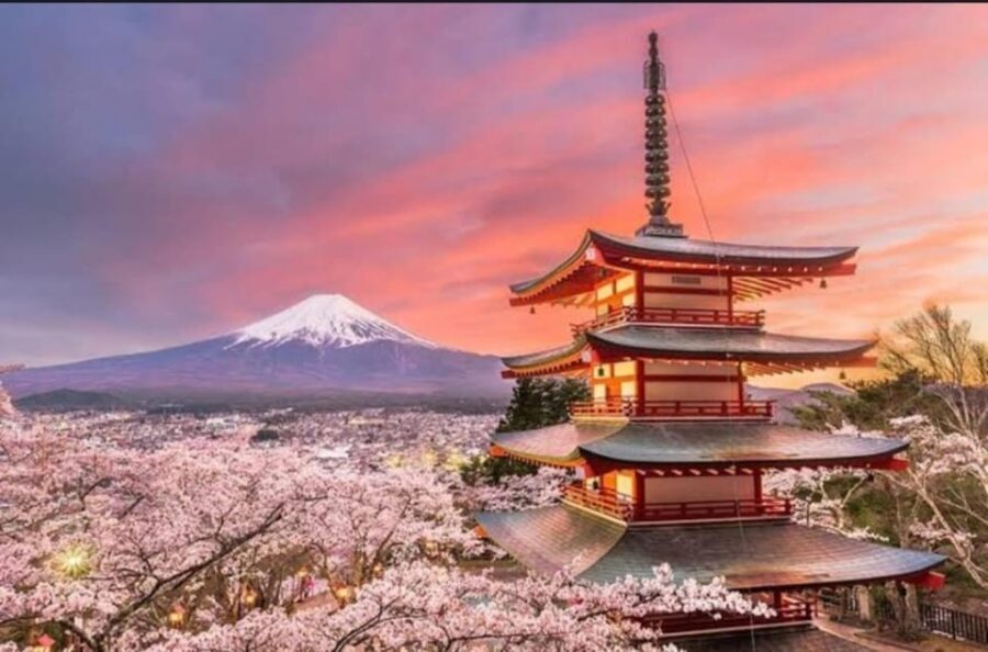 Tokyo: Private Day Trip to Mount Fuji and Hakone - Mt. Fuji 5th Station: altitude, weather, and the real finish line