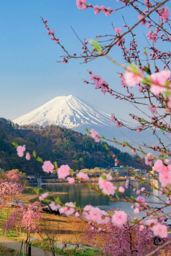 Tokyo: Private Day Trip to Mount Fuji and Hakone - Hakone ropeways and Lake Ashi for volcanic scenery
