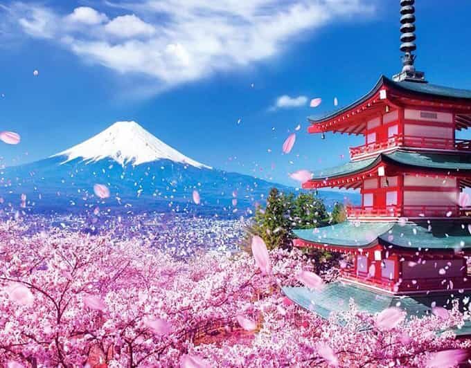 Tokyo: Private Mount Fuji and Hakone Day Trip with Guide - Price and Logistics: What You’re Really Paying For