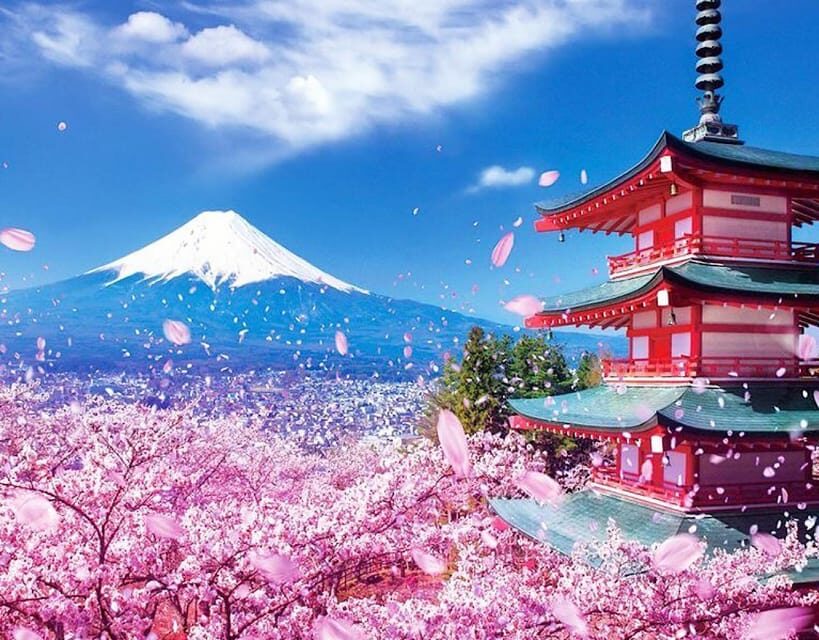 Tokyo: Private Mount Fuji and Hakone Day Trip with Guide - What to Pack for a Cold, Windy Fuji Day