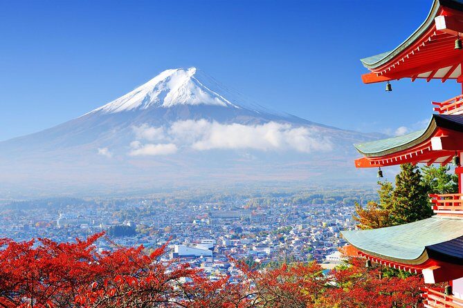 Tokyo to Hakone | Private and Personalized Day Trip with a Local - Tea Houses, Curio Shops, and Odawara Castle Time