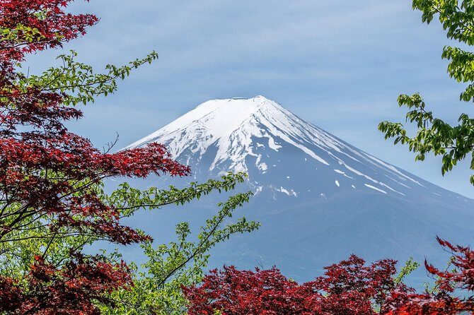 Tokyo to Hakone | Private and Personalized Day Trip with a Local - Hakone Freepass Rides: Ropeway, Cable Car, and the Sightseeing Cruise