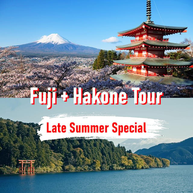 Tokyo to Mount Fuji and Hakone: Private Full-Day Tour - Key highlights you’ll feel from the start