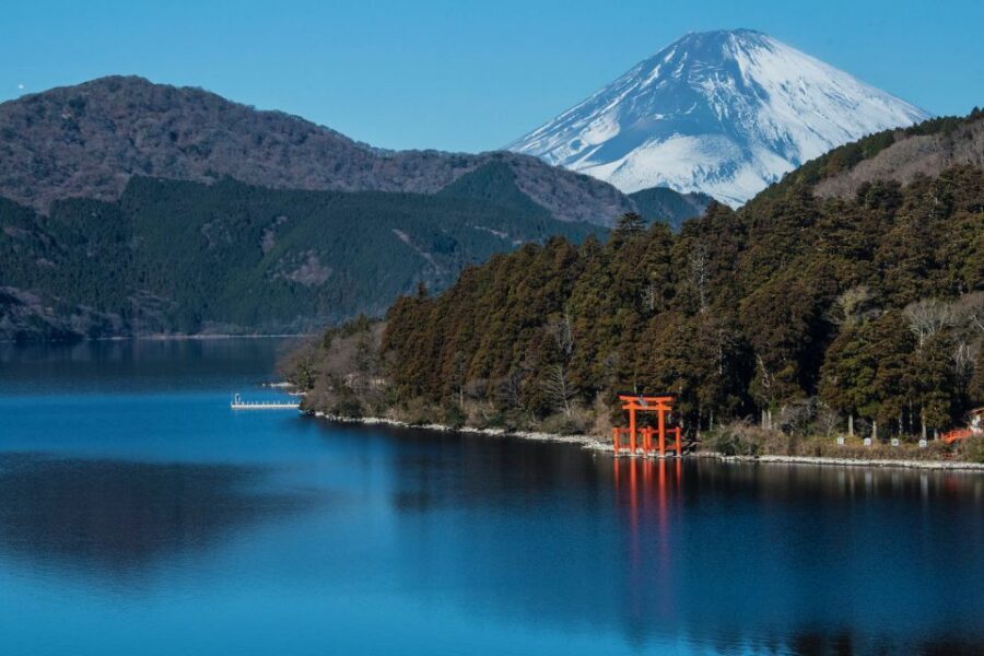 Tokyo to Mount Fuji and Hakone: Private Full-Day Tour - Driver, optional guide, and the language setup that actually matters