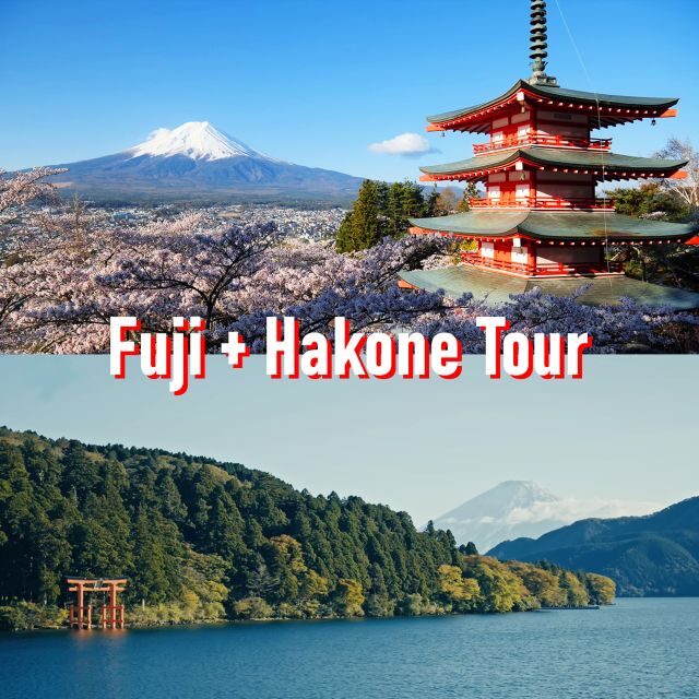 Tokyo to Mount Fuji and Hakone: Private Full-Day Tour - Pickup, drive times, and what 10 hours really means