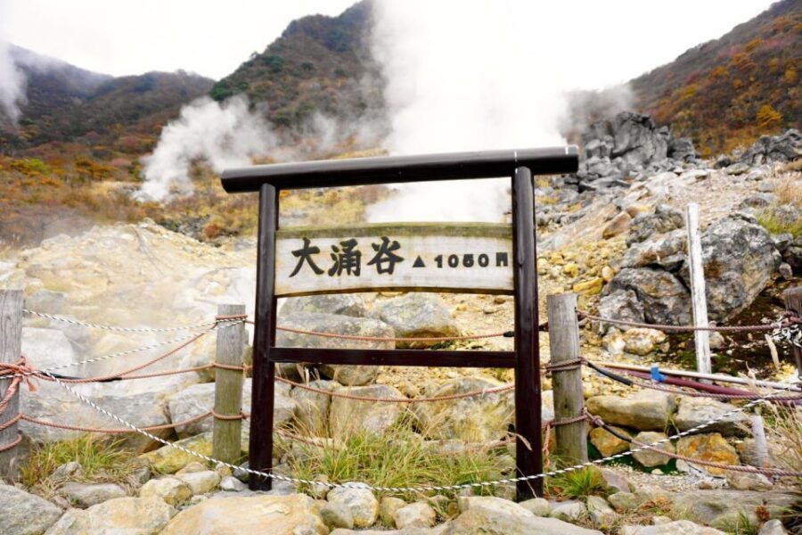 tokyo:Hakone Owakudani & Gotemba Premium Outlet 1d Tour - Price and value: is $69 fair for what you get?