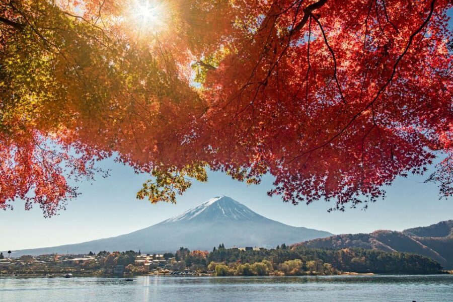 tokyo:Hakone Owakudani & Gotemba Premium Outlet 1d Tour - Watch-outs: meeting points, pickup expectations, and group-size changes