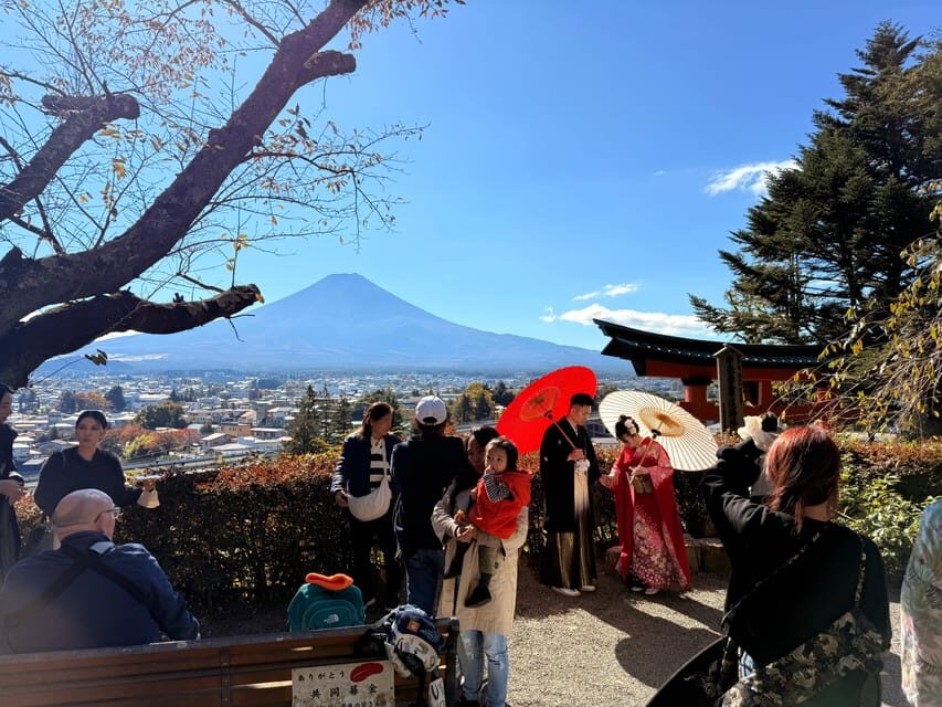 Tokyo:Mt Fuji & Hakone Day Tour with English Speaking Driver - Luxury transport details: what you’re paying for (and what you should double-check)