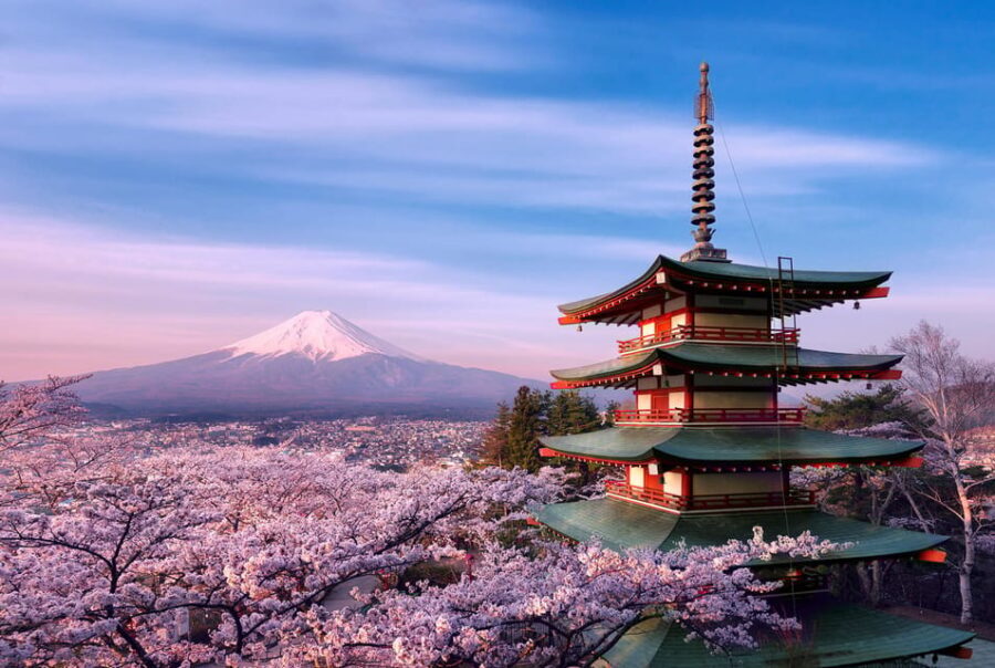 Tokyo:Mt Fuji & Hakone Day Tour with English Speaking Driver - Pickup, pacing, and how the 10-hour plan fits real life