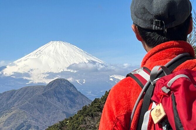 Traverse Outer Rim of Hakone Caldera and Enjoy Onsen Hiking Tour - Key things you’ll like on this Hakone hike