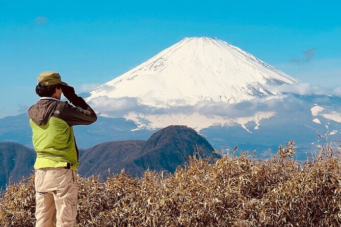 Traverse Outer Rim of Hakone Caldera and Enjoy Onsen Hiking Tour - Sengokuhara start and the taxi ride you’ll be glad you don’t have to plan