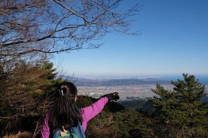 Traverse Outer Rim of Hakone Caldera and Enjoy Onsen Hiking Tour - Fuji visibility, even on foggy days: what to expect from the weather