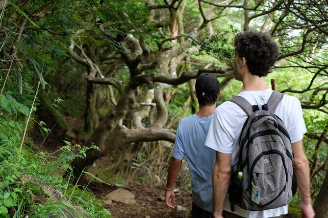 Traverse Outer Rim of Hakone Caldera and Enjoy Onsen Hiking Tour - Downhill to Lake Ashinoko and the change from hiking mode