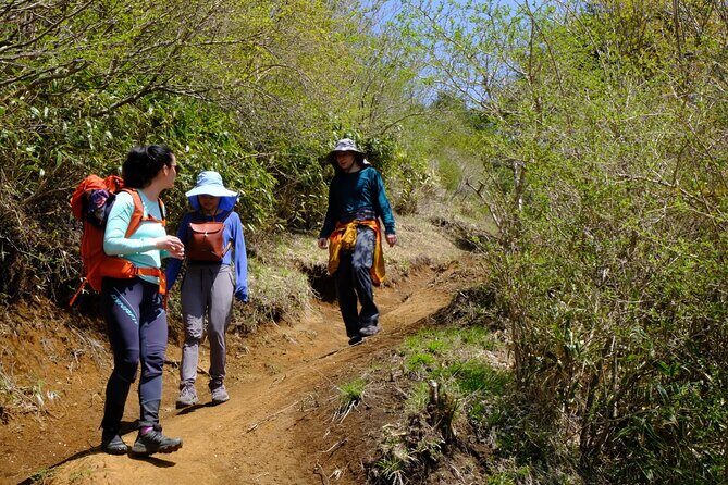 Traverse Outer Rim of Hakone Caldera and Enjoy Onsen Hiking Tour - Onsen at Togendai: indoor and outdoor baths for sore legs